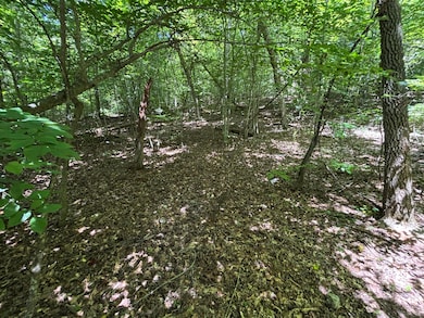 Photo Jul 18 2025, 1 05 58 PM