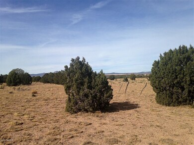 17 Wagon Tree Rd, Ash Fork, AZ 86320 - photo 3
