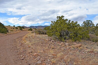 Lot 1A Willow Springs Ranch, San Antonio, NM 87832 - photo 7