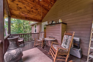 337 Branch Creek Rd, Blue Ridge, GA 30513 - photo 7