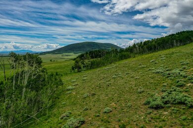 0 Breakneck Pass Ct unit S1027527, Fairplay, CO 80440 - photo 4