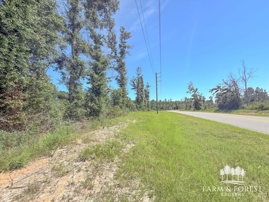 XX1 Decon Rd E, Bonifay, FL 32425 - photo 4