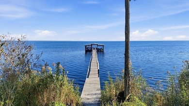 266 Drayton Island Rd, Georgetown, FL 32139 - photo 4