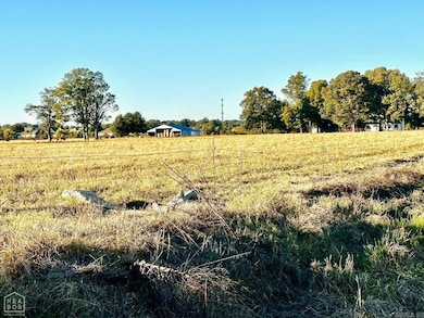 48 +/- Ac County Road 936, Brookland, AR 72417 - photo 7