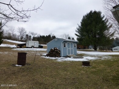 Stump Shed