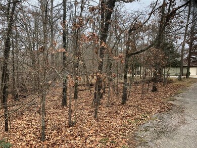 0 Alness Ln unit 1167421, Bella Vista, AR 72715 - photo 2