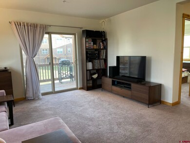 212 S Avion Dr unit 101 Cimarron Bu, Crested Butte, CO 81224 - photo 4