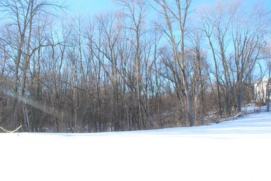 This large walkout lot has mature trees in your ya
