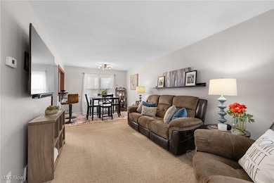 8220 Lancaster Dr unit 4, Mentor, OH 44060 - photo 5