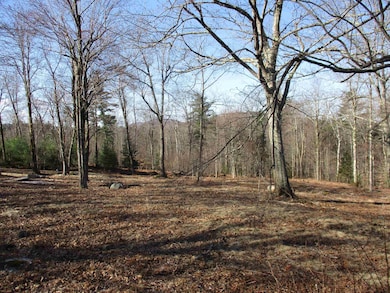 View to the left