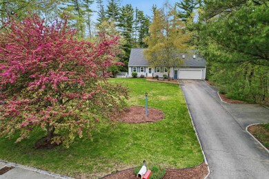 Beautiful Flowing tree in the spring out front