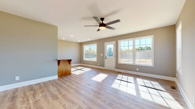 222 Coney Island Rd, Shelbyville, TN 37160 - photo 6