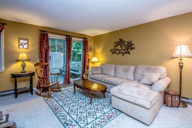 59 Haynesville Ave unit 12, Conway, NH 03818 - photo 4