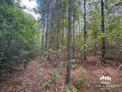 XX7 Alred Rd, Westville, FL 32464 - photo 3