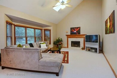 2616 Fairhauser Rd, Naperville, IL 60564 - photo 7