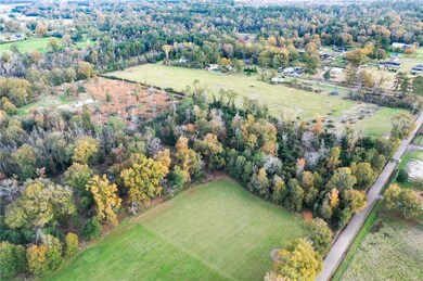 Parcel 2-C Simmons Rd, Loranger, LA 70446 - photo 7