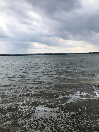 2671 Russell Dr, Wayland, MI 49348 - photo 5