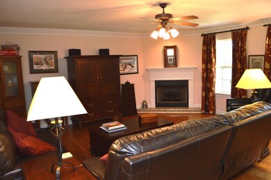 Living Room 1