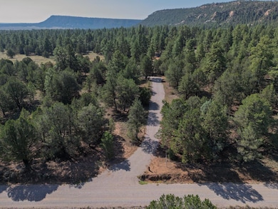 19 W Bobcat Dr, Ramah, NM 87321 - photo 2