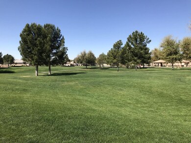 Community Park