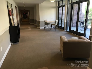 720 Governor Morrison St unit 215, Charlotte, NC 28211 - photo 5
