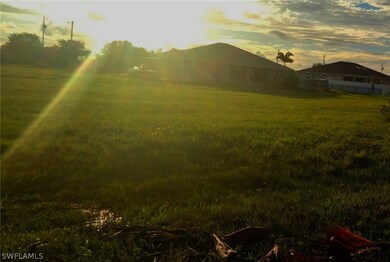 View of yard at dusk