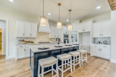 4012 Overlook Way, Weatherford, TX 76085 - photo 4