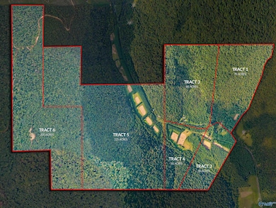 3818-1 County Road 4 unit Tract 1, Hollytree, AL 35751 - photo 4