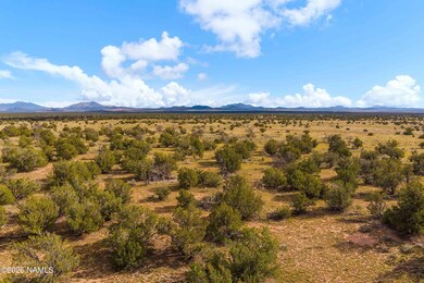 3697 E South Rim Ranch Rd unit A, Valle, AZ 86046 - photo 7