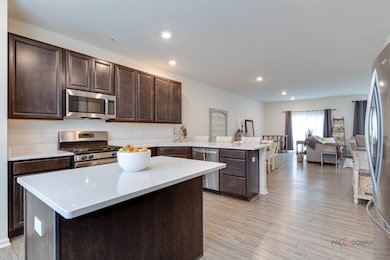 1017 Atterberg Rd, South Elgin, IL 60177 - photo 3