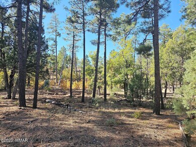 3251 W Sage Lane, Show Low, AZ 85901