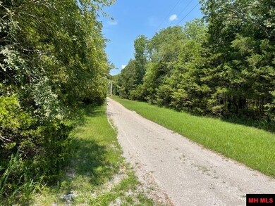 0 Lago Ln, Elizabeth, AR 72531 - photo 4