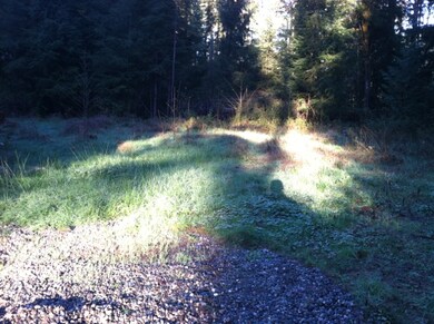 20025 Lake Riley Rd, Arlington, WA 98223 - photo 3