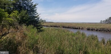 2504 Wesley Church Rd, Crapo, MD 21626 - photo 3