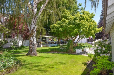 Front Yard 2