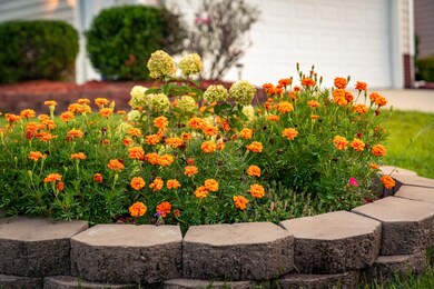 2309 Charity Ln, Winterville, NC 28590 - photo 7