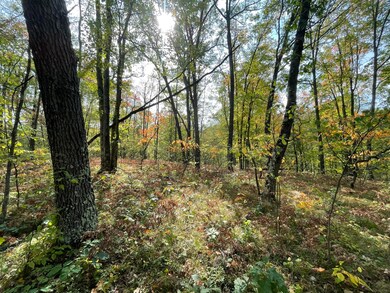 V/L 20A N Woodbridge Dr, Bitely, MI 49309 - photo 5