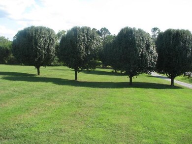 308 Snell Rd, Shelbyville, TN 37160 - photo 5