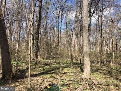 0 Davidsonville Rd unit MDAA464298, Gambrills, MD 21054 - photo 2