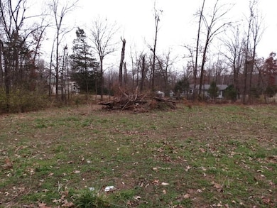 00 Maple Ave, Bull Shoals, AR 72619 - photo 2