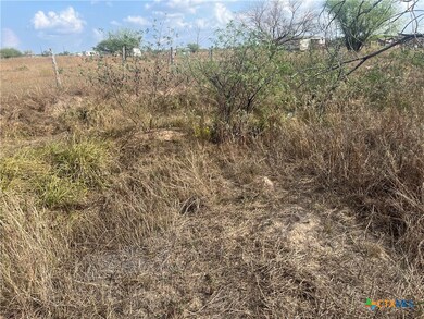 255 Salt Grass Ln, Victoria, TX 77904 - photo 6