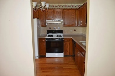 unlisted-address, Roselle, IL 60172 - photo 3