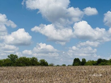 Open field and wooded areas