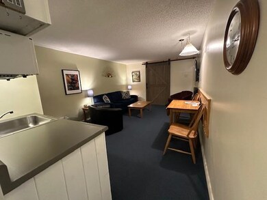 2955 White Mountain Hwy unit 225 (E47), North Conway, NH 03860 - photo 5