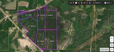 17.65 Acres Alabama 87, Samson, AL 36477 - photo 4