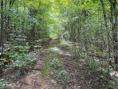 6acres Trentham Rd, Newport, TN 37821 - photo 6