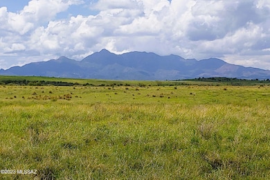 Elgin property 2