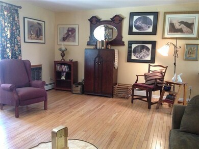 668 Washington St, Chelsea, MI 48118 - photo 5