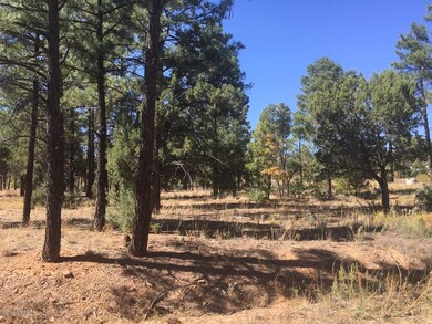 120 W Owens, Show Low, AZ 85901 - photo 5