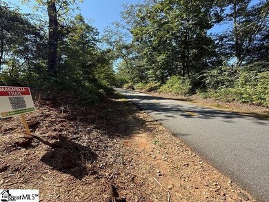 28 Lone Cypress St, Travelers Rest, SC 29690 - photo 5